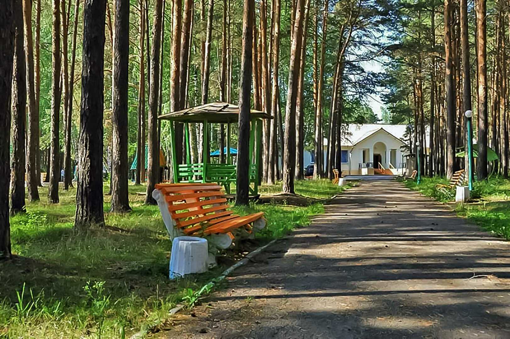 Каштак профилакторий. Каштакский Бор Челябинск лагерь. Каштакский Бор лес Челябинск. Лесопарк Каштакский Бор. Пансионат Каштакский Бор Челябинск.