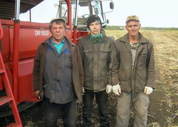 В Сосновском районе заканчивается работа на полях