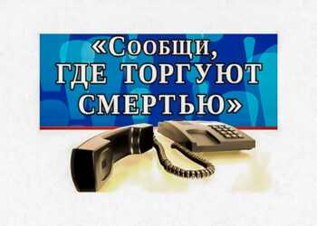 В Сосновском районе стартует акция: «Сообщи, где торгуют смертью».