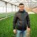 Зелень к новогоднему столу выращивают в теплицах Мирного