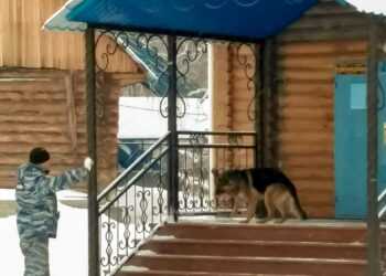 Храмы в Сосновском районе обследовали перед Рождественскими службами
