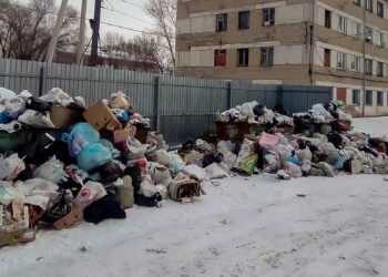 Когда вывезут мусорные завалы в Долгодеревенском?