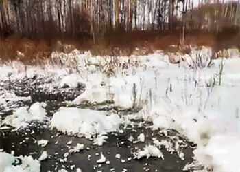 Жидкие отходы в микрорайоне «Звездном» в Сосновском районе увели в законное русло