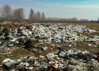 Прокуратура Сосновского района выявила свалки в трех поселениях