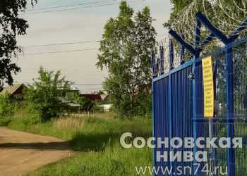 Апелляция не помогла: садовый домик, за который вступился Путин, должны снести