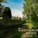 Сады в Долгодеревенском, за которые вступился Путин, предлагали в суде мировую