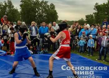 Девочки наравне с мальчиками участвовали в единоборствах на фестивале спорта