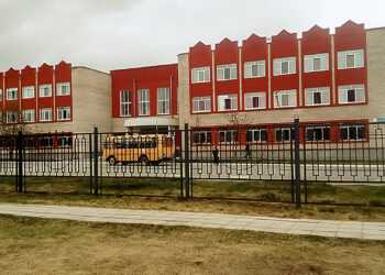 Выпускники Долгодеревенской школы помогли в благоустройстве школьной территории