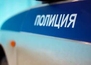 Страшные слухи в Красном поле опровергла проверка полиции