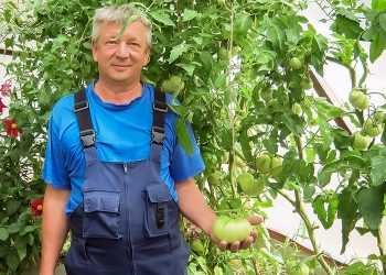 Как обмануть уральский климат: пермакультура и изобретательность