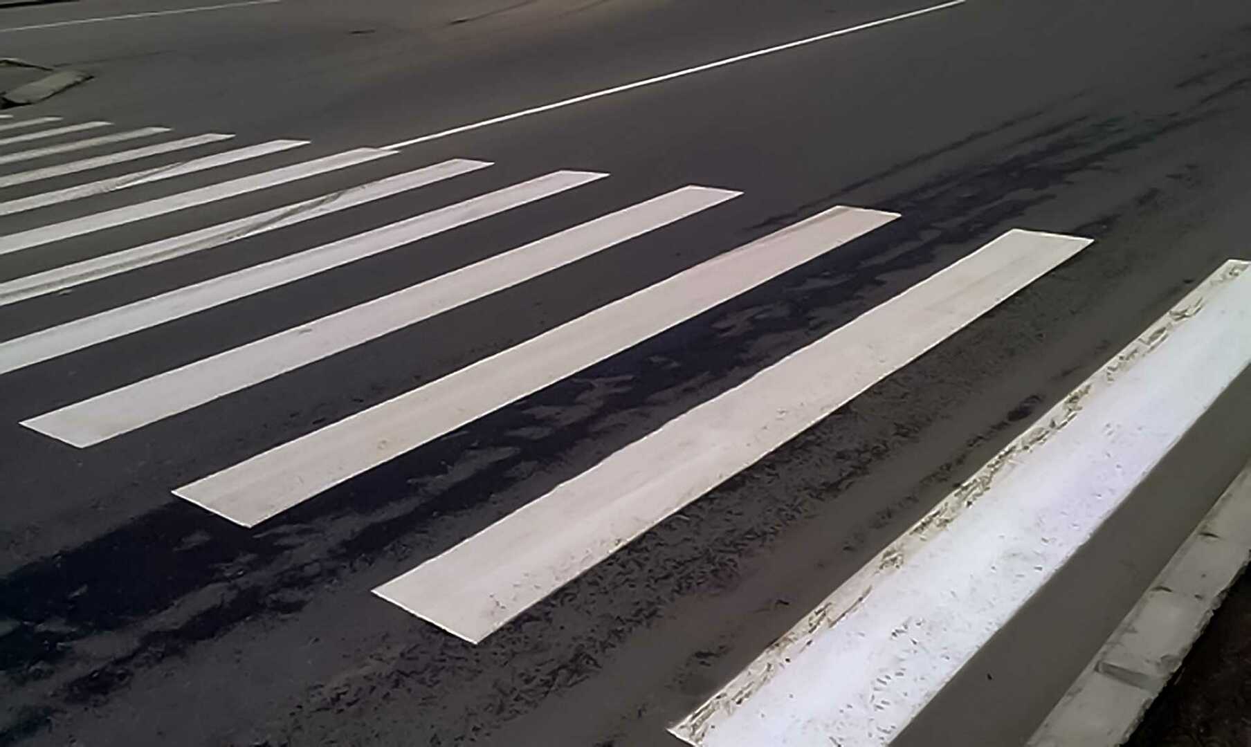 Зебра на дороге картинки