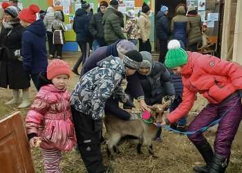 В Есаульской школе-интернате открыли контактный зоопарк