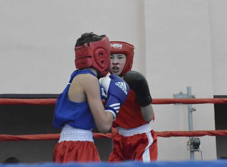 В Сосновском районе прошел турнир по боксу и кикбоксингу