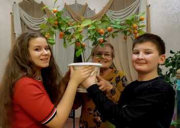 В Долгодеревенском к Новому году начало плодоносить мандариновое дерево