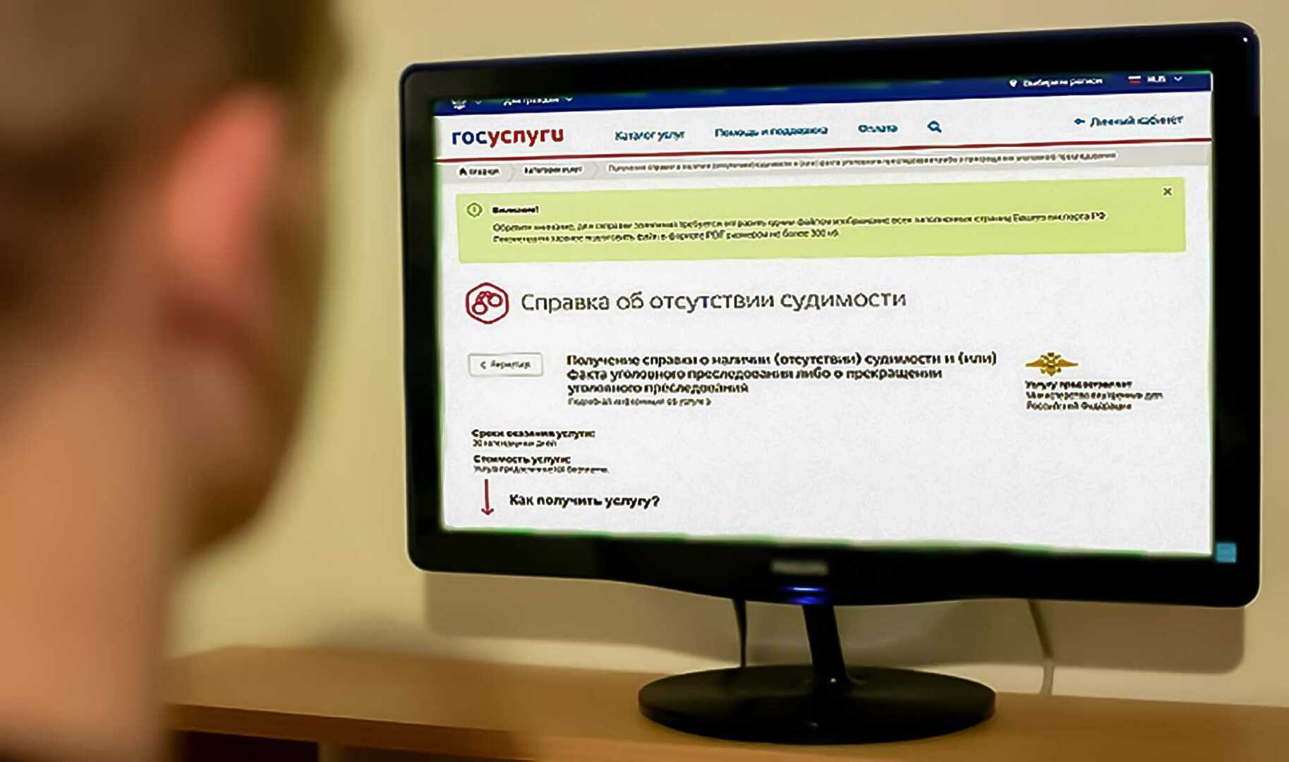 Образец справки о несудимости через госуслуги