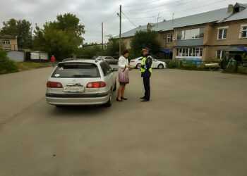 В Сосновском районе пройдут рейды по детским автокреслам