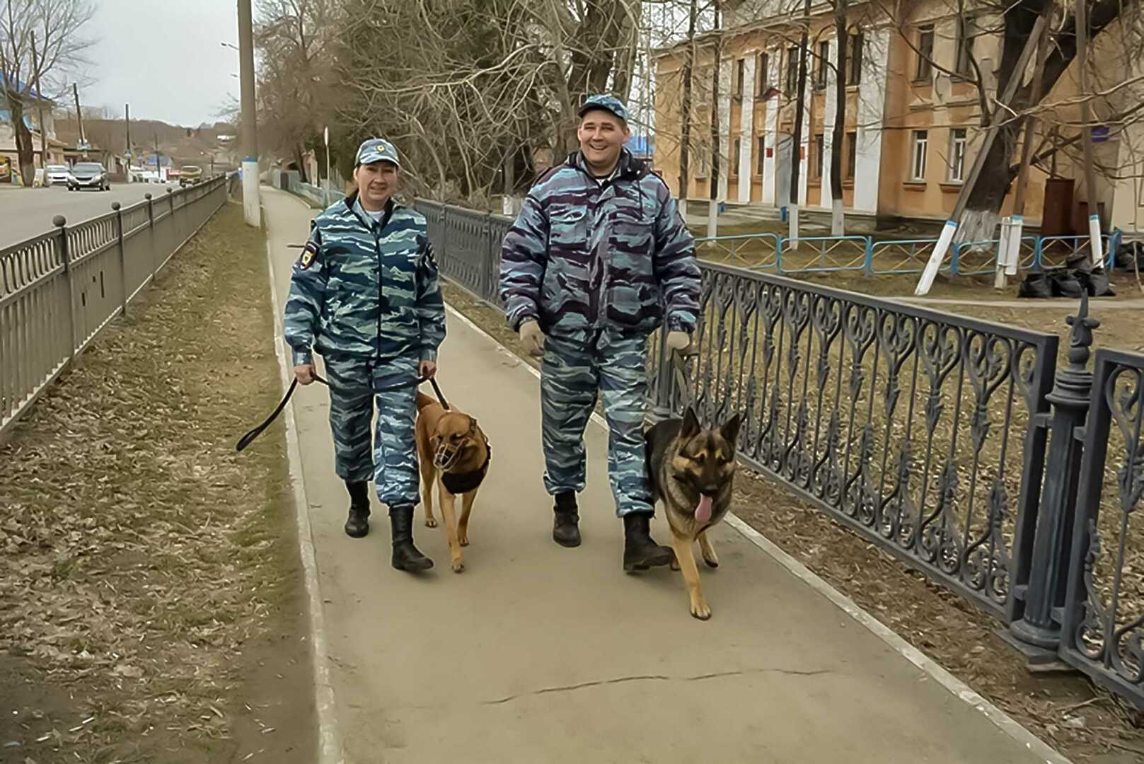 Кинологи Сосновского района отмечают профессиональный праздник - Сосновская  Нива