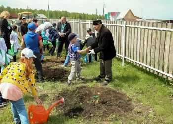Фруктовые деревья вырастут возле школы и мечети в Мамаево