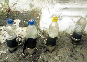 В лесу Сосновского района нашли бутылки с веществом, напоминающим ртуть