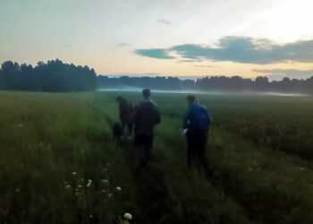 Поиски мальчика в Туктубаево возобновились в 6 утра