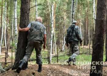 Пропавшего в Сосновском районе мальчика с ДЦП нашли