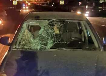 В Сосновском районе женщину насмерть сбили на пешеходном переходе