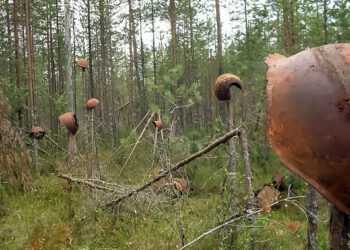 Военно-исторический отряд «Медальон» и поисковый отряд «Бастион» завершили «Вахту Памяти» 2018 года