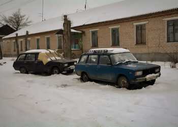 В Долгодеревенском в двух машинах зимует мужчина с кошками