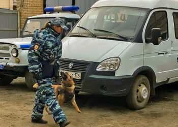 Школьники из Саккулово познакомились с работой полицейских