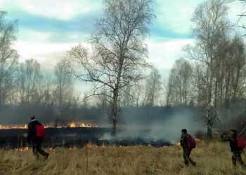 Сухая и ветреная погода грозит южноуральцам пожарами