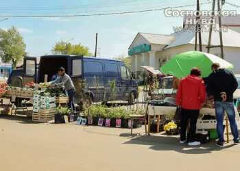 В Долгодеревенском торговые ряды у аптеки переедут в учхоз