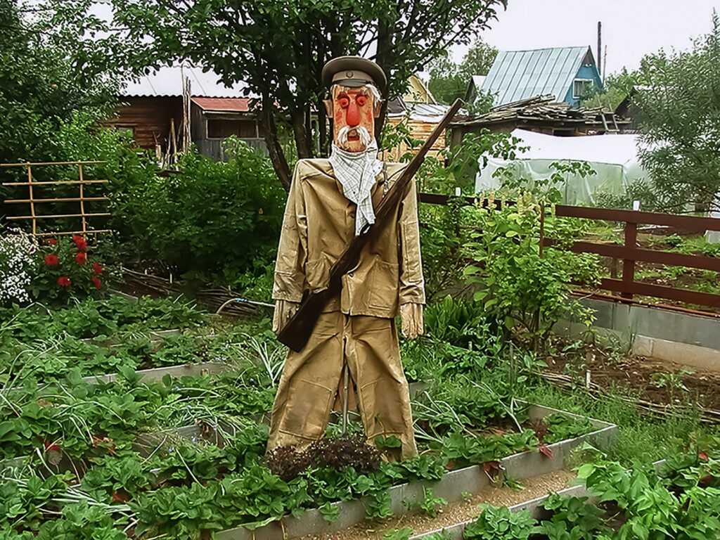 Садовые приколы картинки