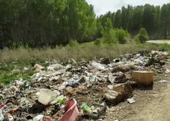 Какое наказание грозит за оставленный на природе мусор