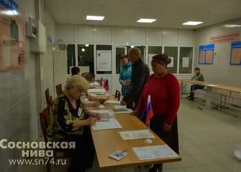 Подведены итоги выборов в Долгодеревенском сельском поселении