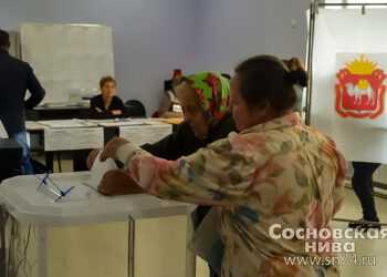 В Сосновском районе Алексей Текслер набрал 72% голосов