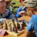 19 октября пройдет первенство Сосновского района по шахматам