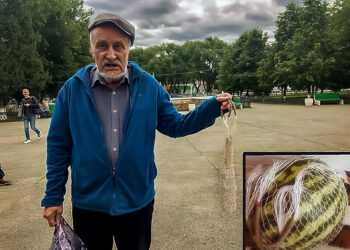 Запретят ли производство одноразовых пластиковых пакетов?