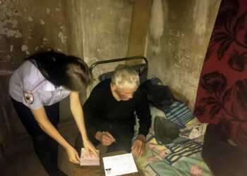 Дедушке из Прохорово собирают на дрова