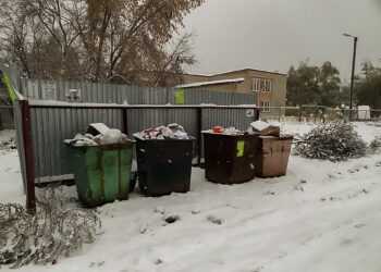 Куда сообщать о переполненных мусорных контейнерах