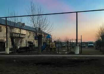 Какие ограничения вводятся в связи с введением обязательной самоизоляции
