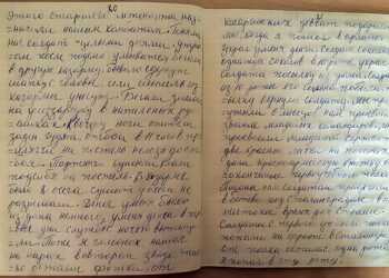 Дневники Леонида Невзорова, жителя деревни Касарги