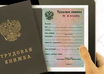 Сведения о трудовой деятельности можно получить онлайн