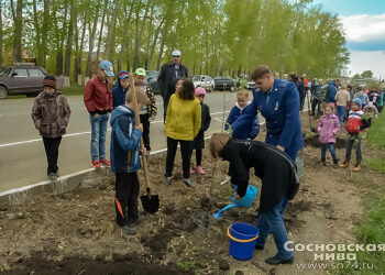 Почему в Сосновском районе выросло число экологических преступлений