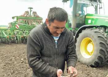 Как проходит сев в «Заре»