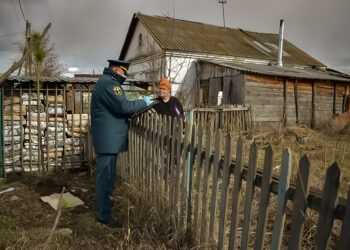 В Долгодеревенском сотрудники МЧС провели противопожарные рейды