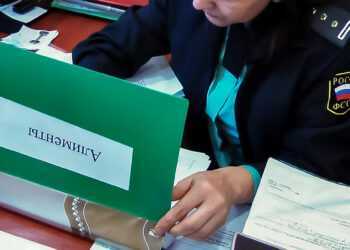 Житель Сосновского района получил условный срок за неуплату алиментов