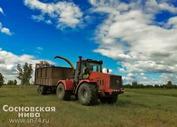 В Сосновском районе хозяйства ищут пути сокращения ущерба от засухи