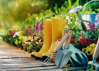 Садоводы и дачники Сосновского района отмечают праздник