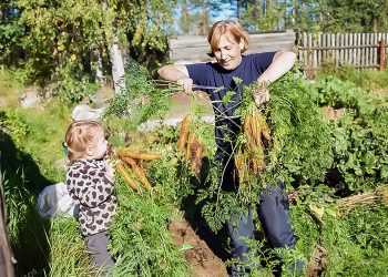 Какая погода ждет южноуральцев в выходные
