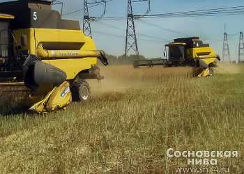 Урожайность зерновых в Сосновском районе превосходит результаты соседей